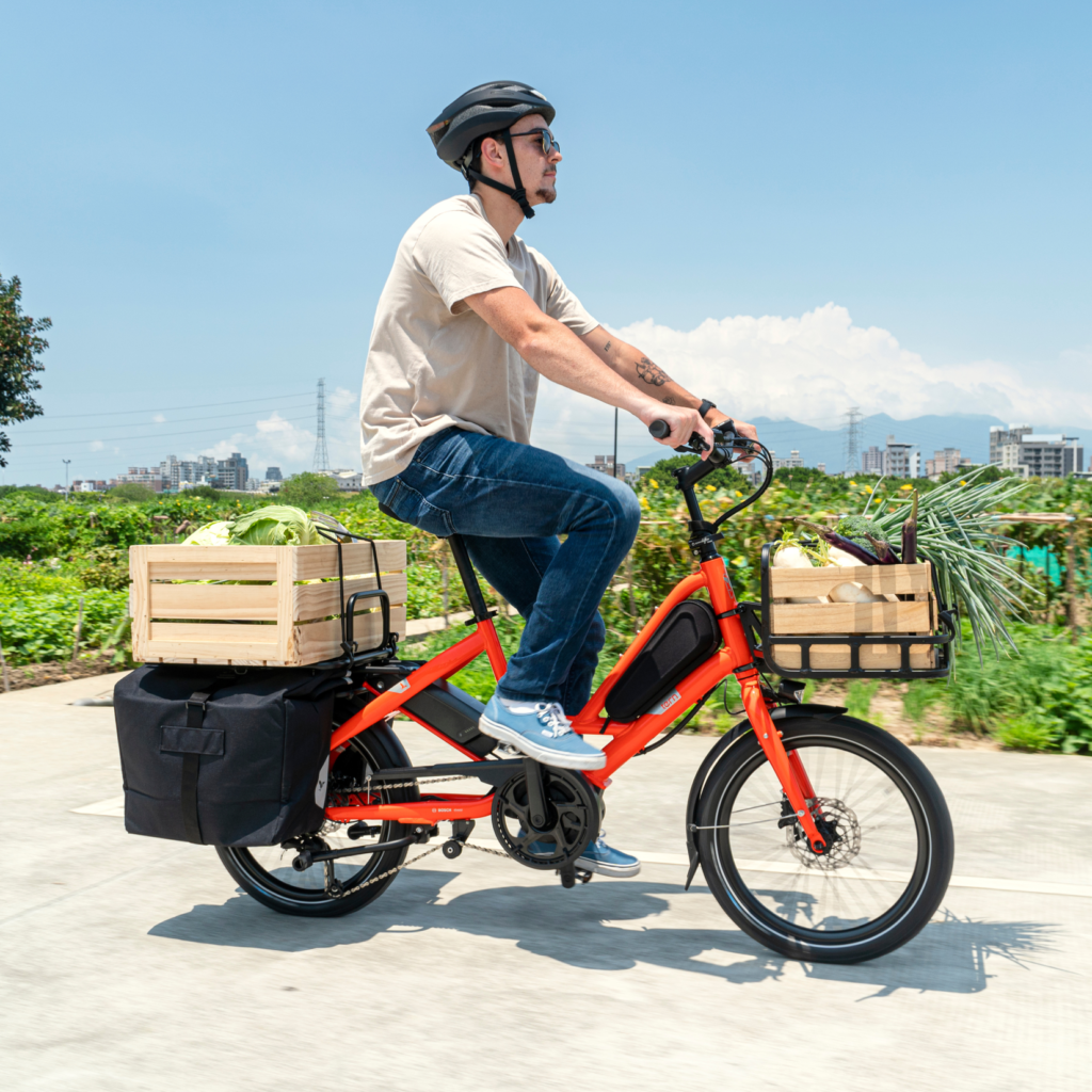 A person riding a tern ebike on a sunny day. The ebike has wooden crates on both the front and rear racks filled with groceries. The rider wears a helmet, a beige shirt, and jeans, with a green field and distant buildings in the background.